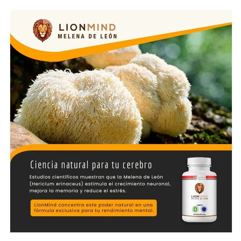 LionMind Melena de León | Foco y Memoria (Tratamiento 2 Meses)