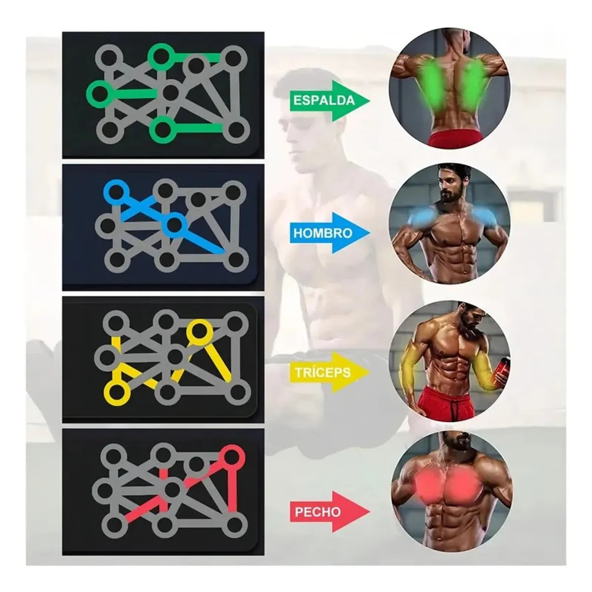 Tabla de Flexiones Push Up 9 en 1 - Gimnasio en Casa